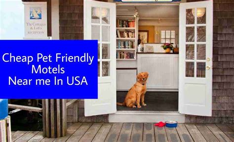 motels near me pet friendly|pet friendly accommodations near me.